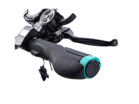 VSETT 9+ (15,6Ah-19,2Ah) + Big display - E-NextRiders Sport Pro Gear