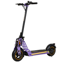 ECOXTREM BISON - Homologado DGT - E-NextRiders Sport Pro Gear