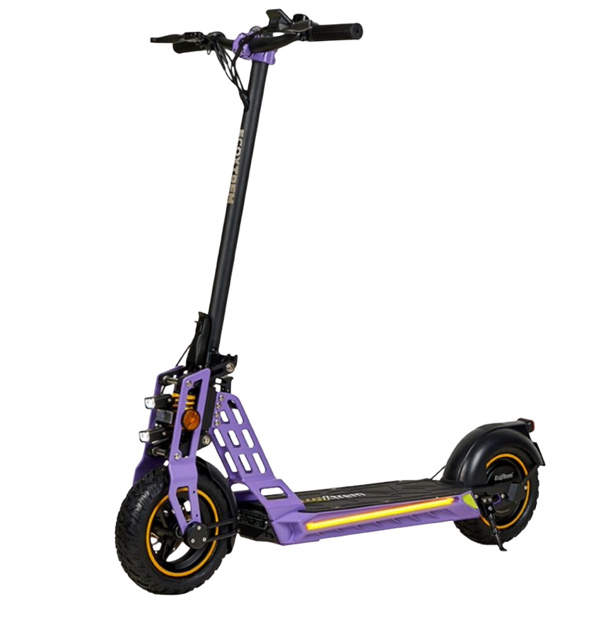 ECOXTREM BISON - Homologado DGT - E-NextRiders Sport Pro Gear